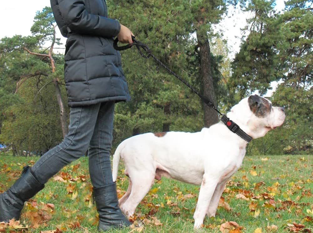 Hands-Free Reflective Dog Leash