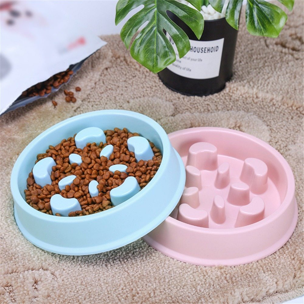 Anti-Choking Slow Feeder Pet Bowl