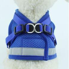 Reflective Mesh Dog Harness and Leash Set