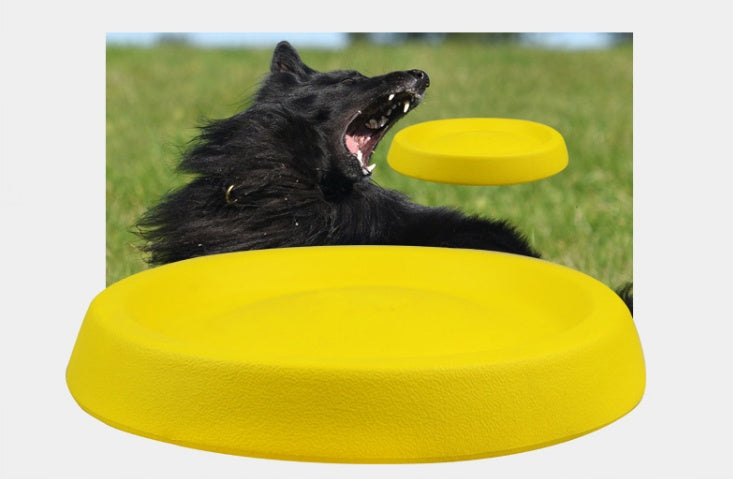 Interactive Dog Throwing Toy