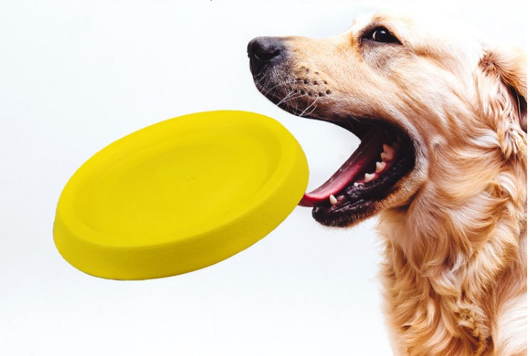 Interactive Dog Throwing Toy