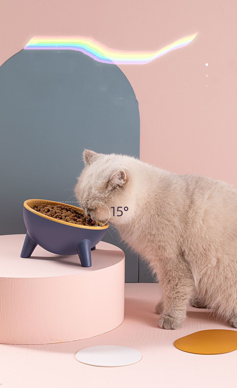 Nordic Tilted Pet Bowl with Stand