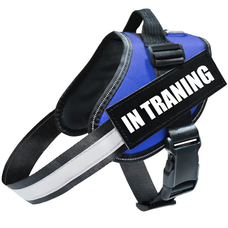 Reflective Dog Harness and Leash Set