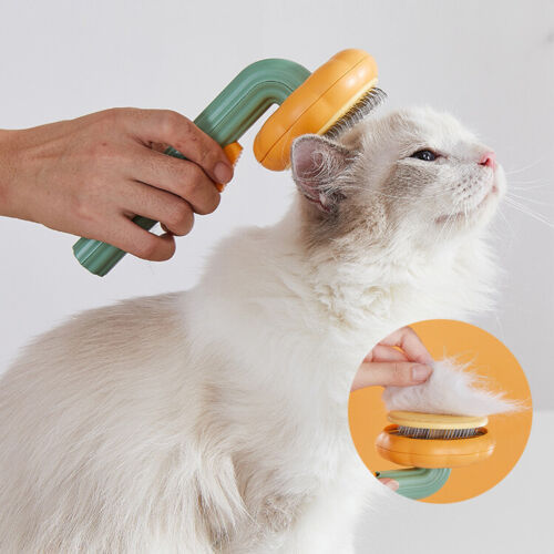 Self-Cleaning Pumpkin Pet Slicker Brush