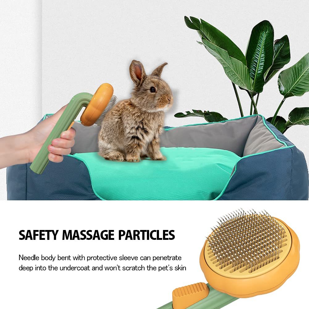 Self-Cleaning Pumpkin Pet Slicker Brush
