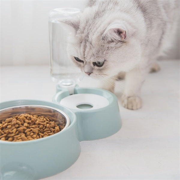 Automatic Refill Dog Bowl