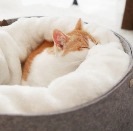 Cozy Pet Bed with Detachable Nest
