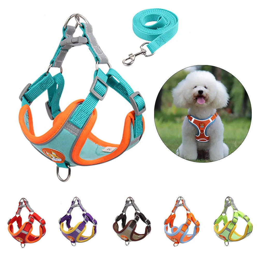 Adjustable Reflective Dog Harness & Leash Set