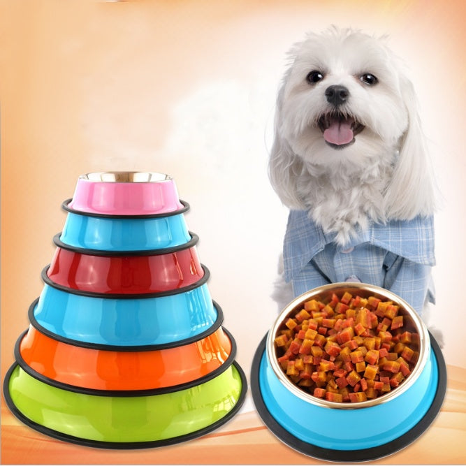 Dual Pet Feeding Bowl