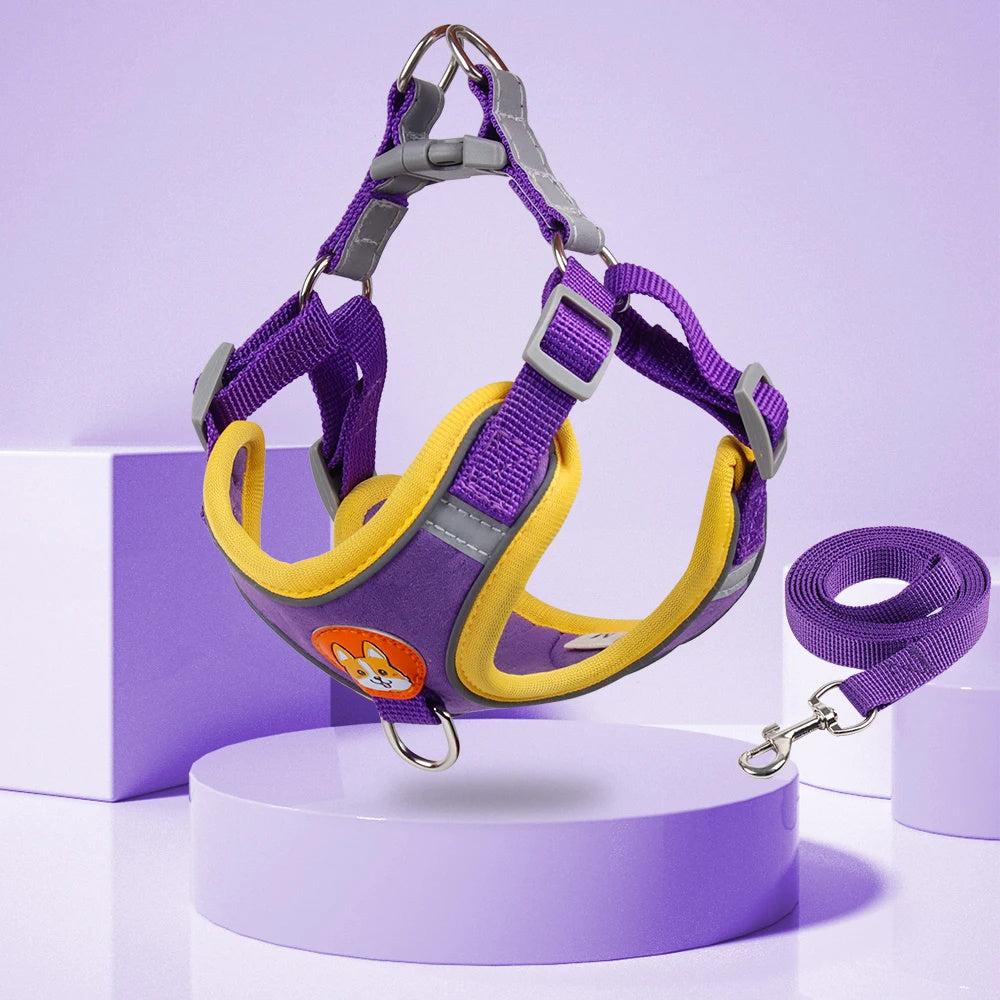 Adjustable Reflective Dog Harness & Leash Set