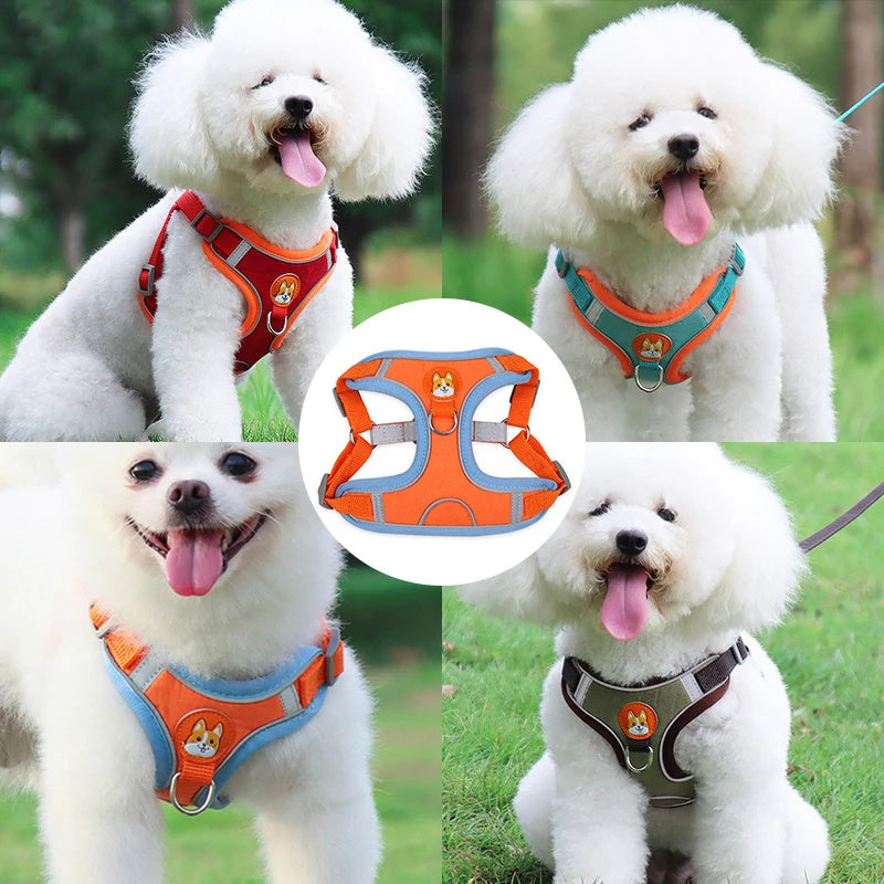Adjustable Reflective Dog Harness & Leash Set