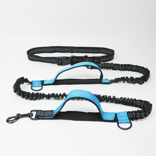 Adjustable Reflective Pet Leash