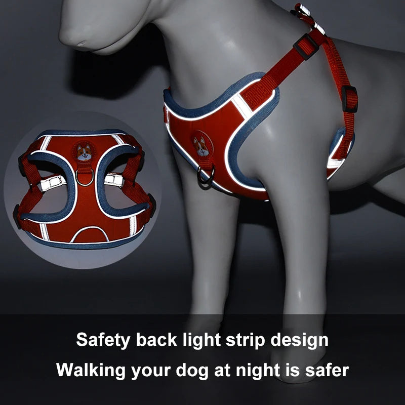 Adjustable Reflective Dog Harness & Leash Set