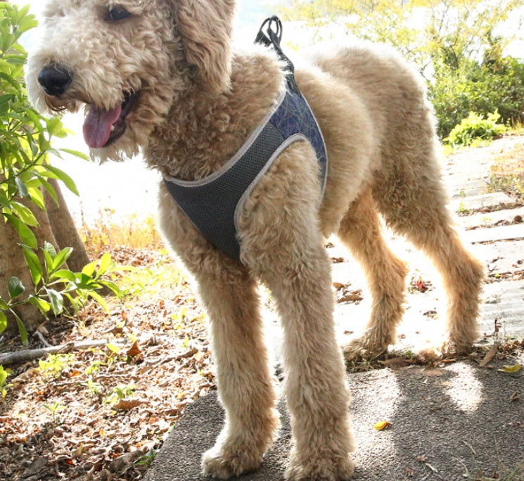 Adjustable Dog Harness Vest