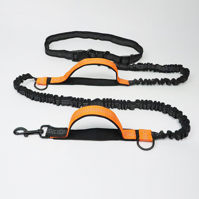 Adjustable Reflective Pet Leash